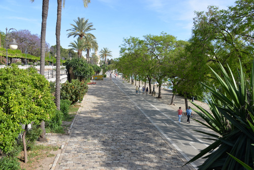 River walkway/alcalde along the Rio Guadalquivir.